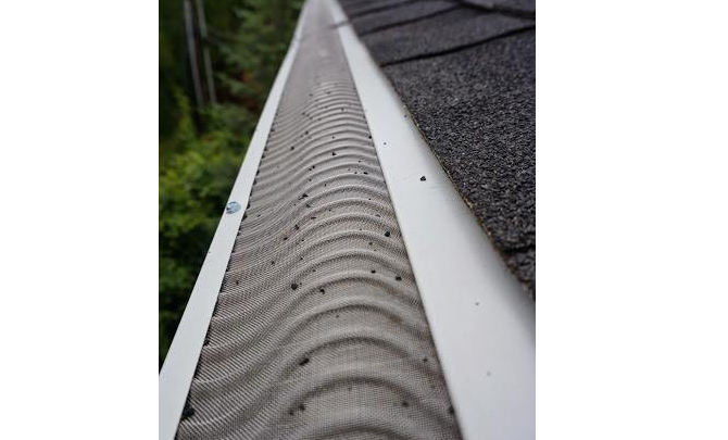 Frequently Asked Questions About Valor Gutter Guards