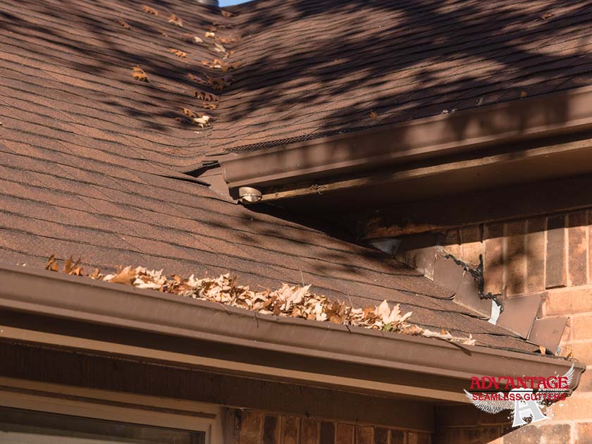 gutters filled with leaves asphalt shingle roof residential gutter cleaning service