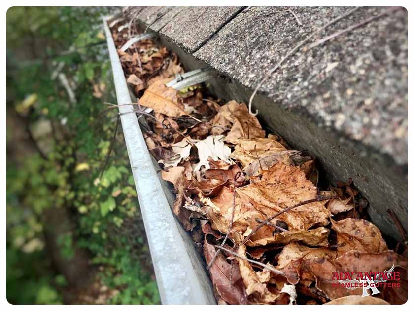 Most Common Causes of Gutter Clogs